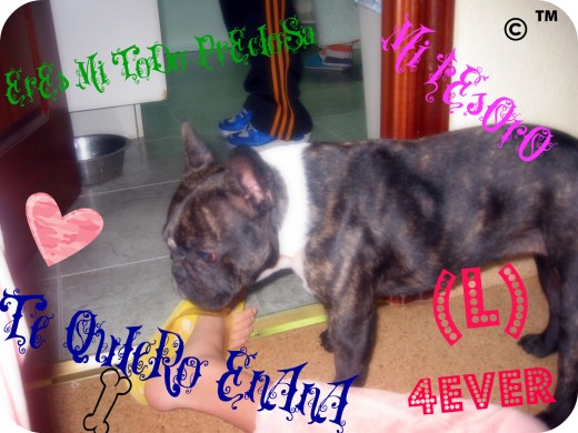 Esta es mi perrita Helena junto a mis vecinos chicos =) espero que le gusten mi perrita y el collage que hize con ella! La adoro (L) Esta es mi perrita Helena junto a mis vecinos chicos =) espero que le gusten mi perrita y el collage que hize con ella! La adoro (L)